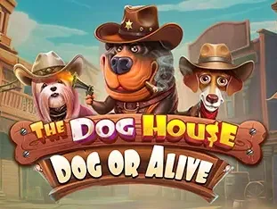 The Dog House - Dog Or Alive game icon